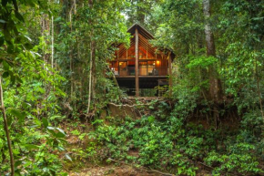 The Canopy Rainforest Treehouses & Wildlife Sanctuary